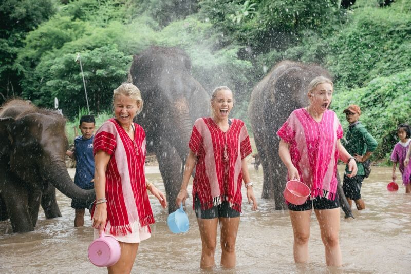 Chiang Mai Kerchor Elephant Eco Park Tour (from Chiang Mai) - A Briefing Before The Elephants