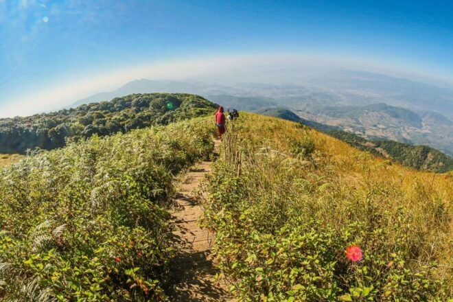Chiang Mai: Kew Mae Pan Nature Trail & Doi Inthanon Day Trip - Additional Information