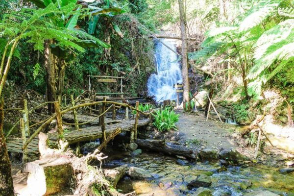 Chiang Mai: Kew Mae Pan Nature Trail & Doi Inthanon Day Trip - The Sum Up