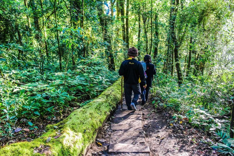 Chiang Mai Kew Mae Pan Nature Trail & Doi Inthanon Full-Day Tour - What to bring for the mountain day