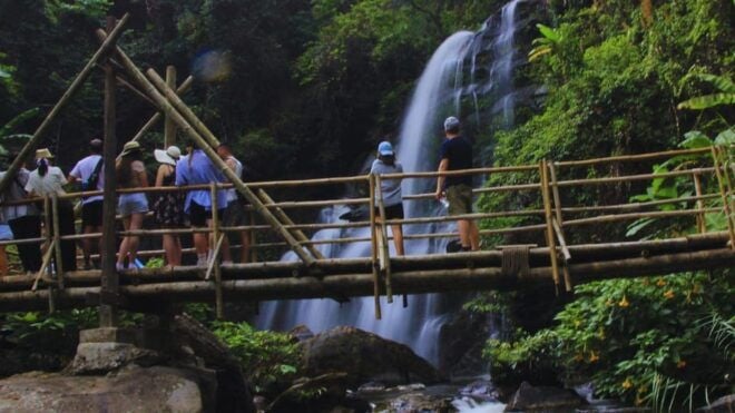 Chiang Mai: Living Green Elephant Sanctuary & Intanon Hiking - Daily Itinerary