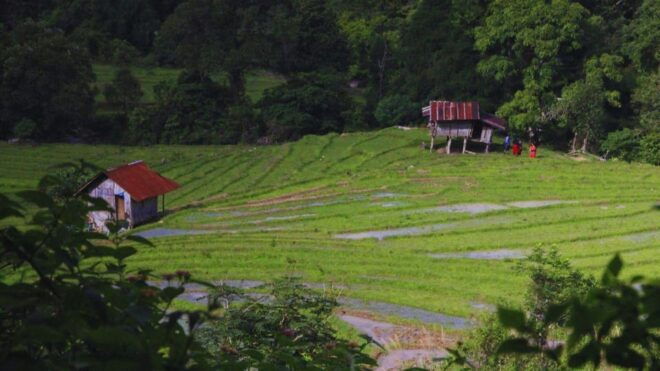 Chiang Mai: Living Green Elephant Sanctuary & Intanon Hiking - Included Amenities
