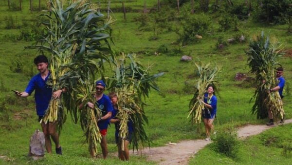 Chiang Mai: Living Green Elephant Sanctuary & Intanon Hiking - Important Guidelines