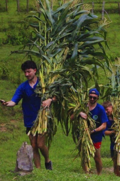 Chiang Mai: Living Green Elephant Sanctuary & Intanon Hiking - Customer Feedback