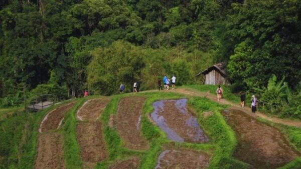 Chiang Mai: Living Green Elephant Sanctuary & Intanon Hiking - Booking Information