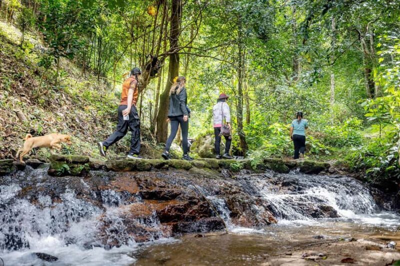 Chiang Mai: Mae Kampong Jungle Hike and Cooking Class - An Authentic Day in the Thai Countryside