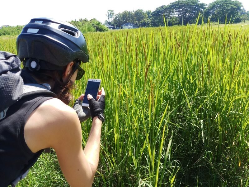 Chiang Mai Mae Ping Valley Half-Day Small Group Cycling Tour - Leaving Chiang Mai for the Mae Ping Valley