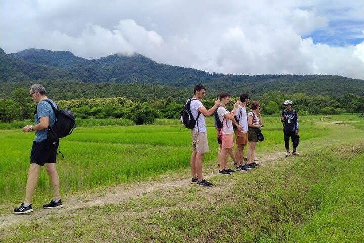 Chiang Mai Mae Ping Valley Half-Day Small Group Cycling Tour - Village stops and local food