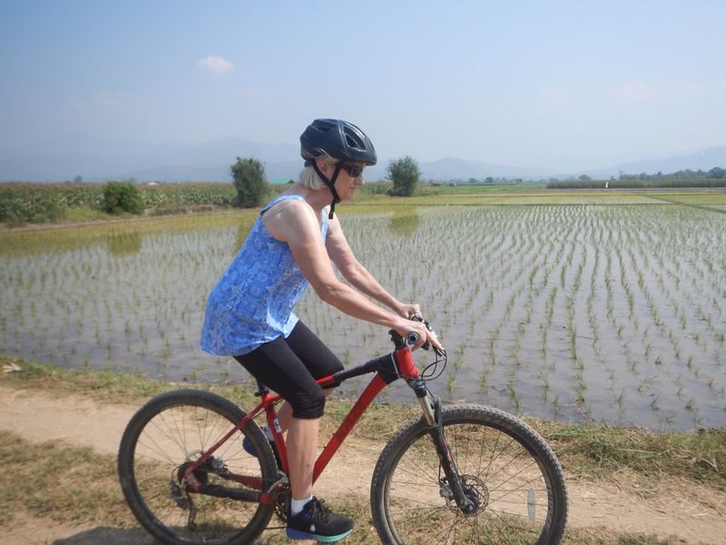 Chiang Mai Mae Ping Valley Half-Day Small Group Cycling Tour - Booking and practical details