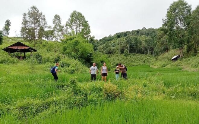 Chiang Mai: Mae Wang One Day Trekking - Customer Review