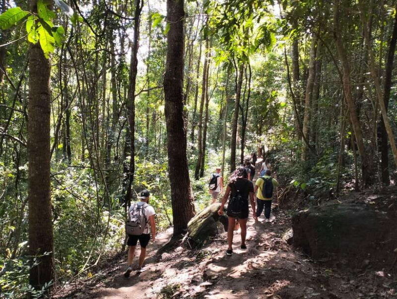 Chiang Mai: Mae Ya Waterfall & Pha Dok Siew Trail Trek - Good To Know