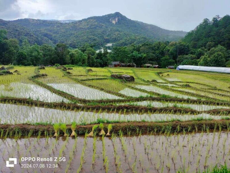 Chiang Mai: Mae Ya Waterfall & Pha Dok Siew Trail Trek - Itinerary Highlights