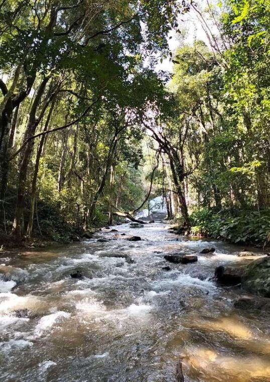 Chiang Mai: Mae Ya Waterfall & Pha Dok Siew Trail Trek - What to Bring