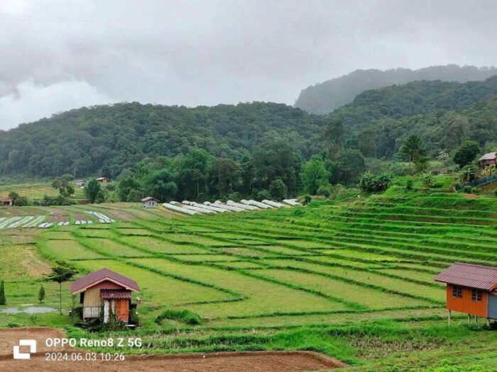 Chiang Mai: Mae Ya Waterfall & Pha Dok Siew Trail Trek - Exploring the Mae Ya Waterfall