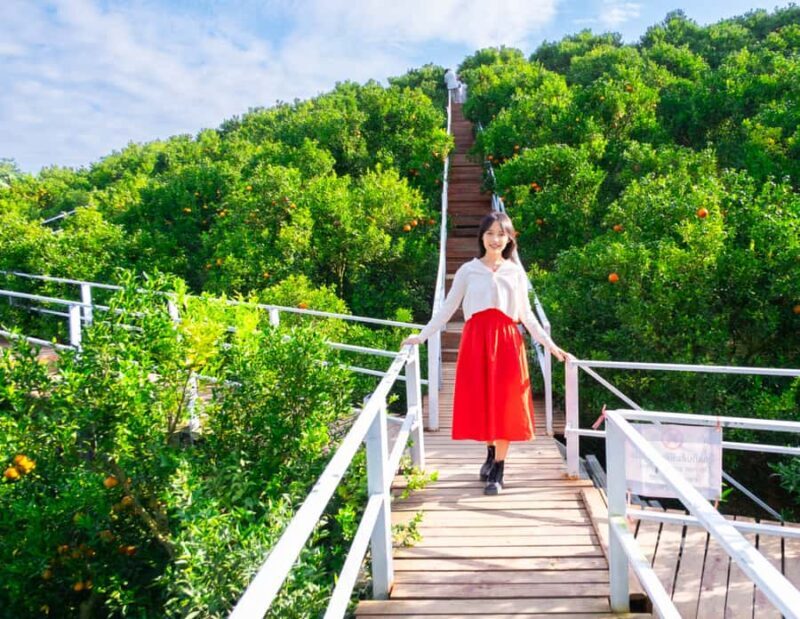 Chiang Mai: Mon Jam Flower Hills, Alpaca Cafe & Dantewada - A Deep Dive into the Chiang Mai Highlands Experience