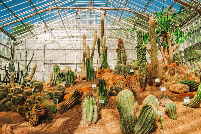 Chiang Mai Mon Jam Highlands and Pongyang Full-Day Private Tour - Breakdown of Reviews by Star Rating