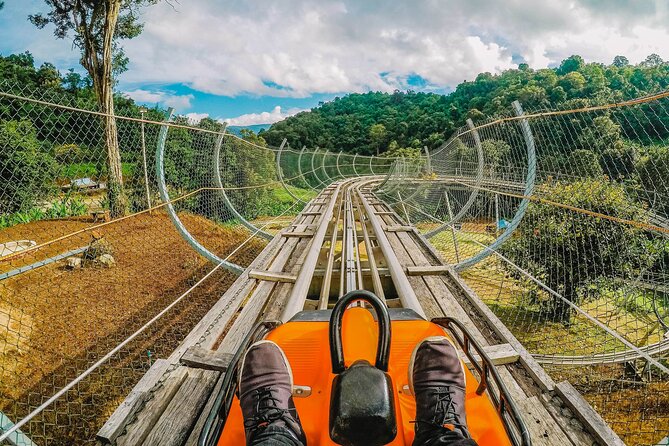 Chiang Mai Mon Jam Highlands and Pongyang Full-Day Private Tour - Common Questions