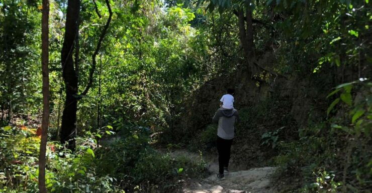 Chiang Mai Monk's Trail Wat Pha Lat & Visit Wat Doi Suthep - Tour Overview