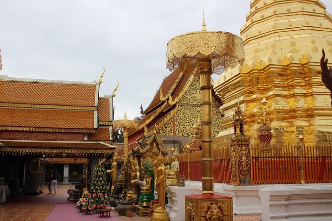 Chiang Mai Morning Alms With Doi Suthep, Wat Umong, and More - Tour Highlights