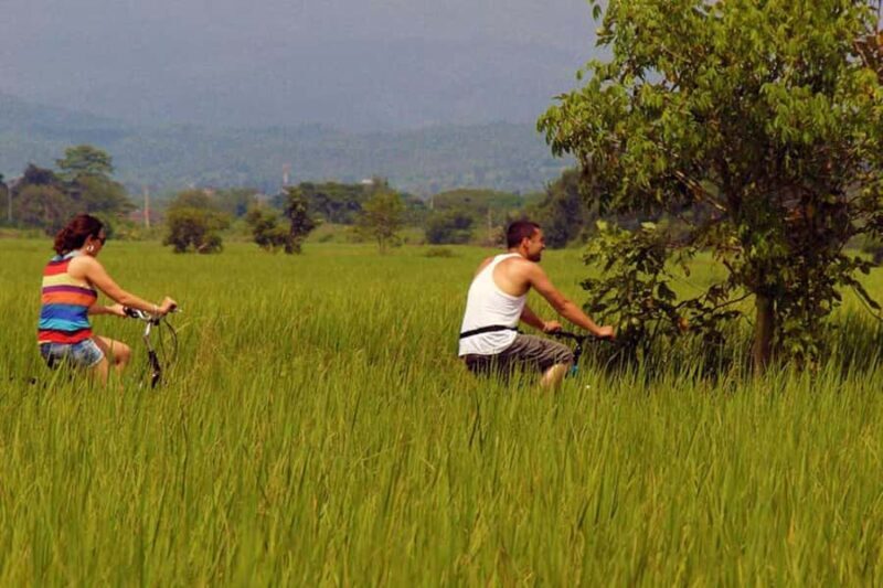 Chiang Mai: Mountain Bike Challenge and Ban Pong Temple Hike - Who Should Consider This Tour?
