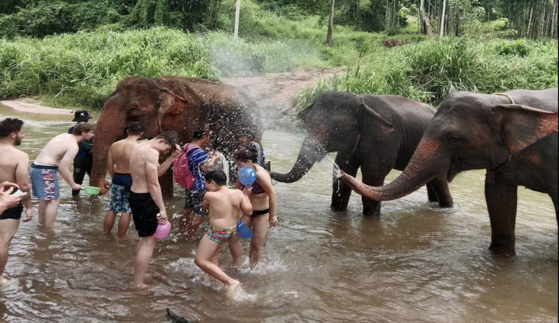 Chiang Mai Mountain Sanctuary & Bamboo Rafting Full-Day Adventure - At a glance