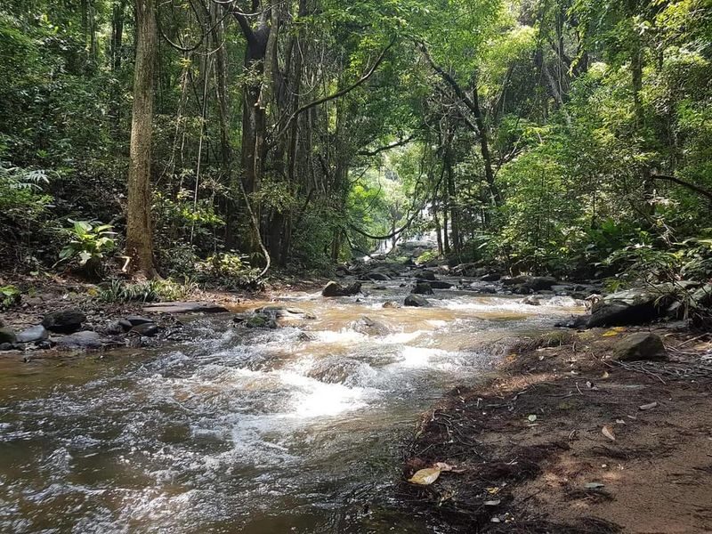 Chiang Mai Mountain Sanctuary & Bamboo Rafting Full-Day Adventure - A full day out in Mae Wang