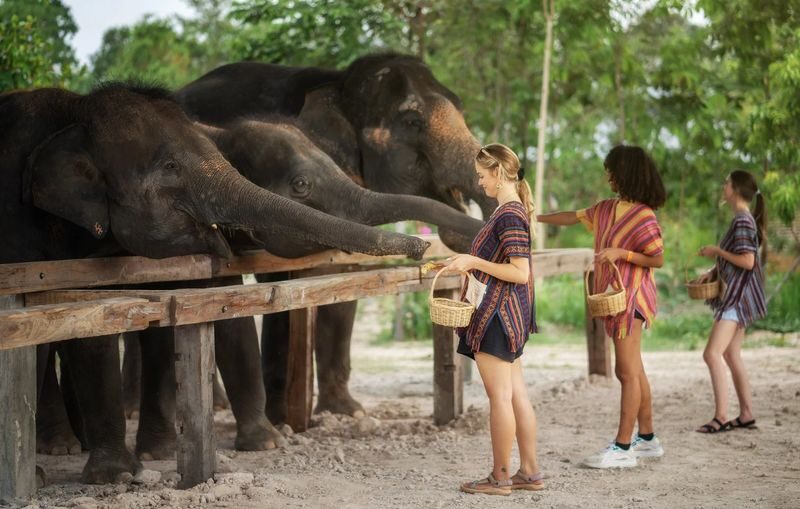 Chiang Mai Mountain Sanctuary & Bamboo Rafting Full-Day Adventure - Guides and transport make a difference