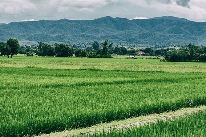 Chiang Mai Muay Thai Boxing Experience - Included Amenities: Lunch and Hotel Pick-up