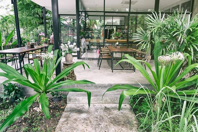 Chiang Mai Muay Thai Boxing Experience - Cancellation Policy for Chiang Mai Muay Thai Boxing Experience