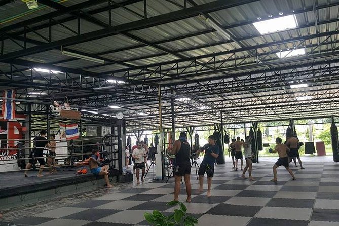 Chiang Mai Muay Thai Boxing Experience - Positive Reviews and Testimonials