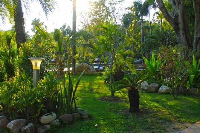 Chiang Mai Muay Thai Boxing Experience - Common Questions