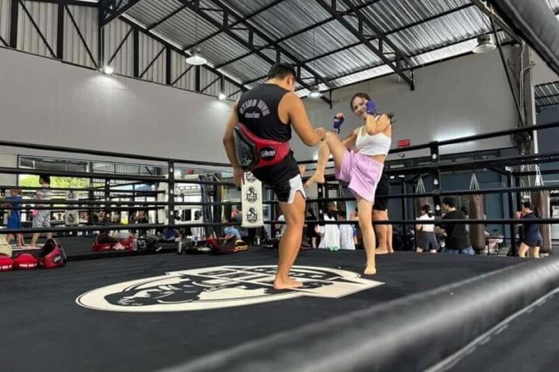 Chiang Mai: Muay Thai Training Academy - Learn Techniques - The Sum Up