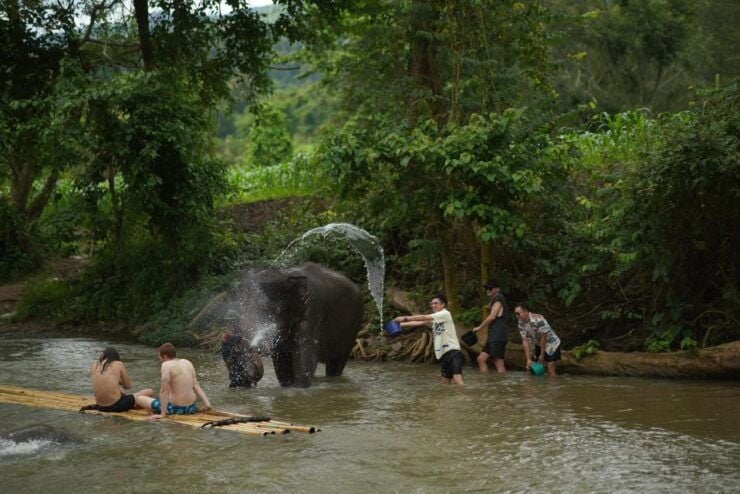 Chiang Mai: National Elephant Care & Rafting/Ziplines Trip - Activity Details