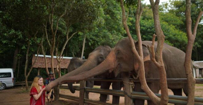 Chiang Mai: National Elephant Care & Rafting/Ziplines Trip - Highlights