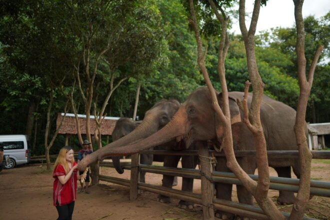 Chiang Mai: National Elephant Care & Rafting/Ziplines Trip - Additional Information