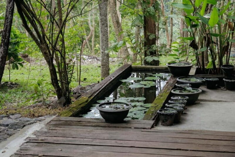 Chiang Mai: Nature and Nurture 1-Day All About Love Retreat - Good To Know