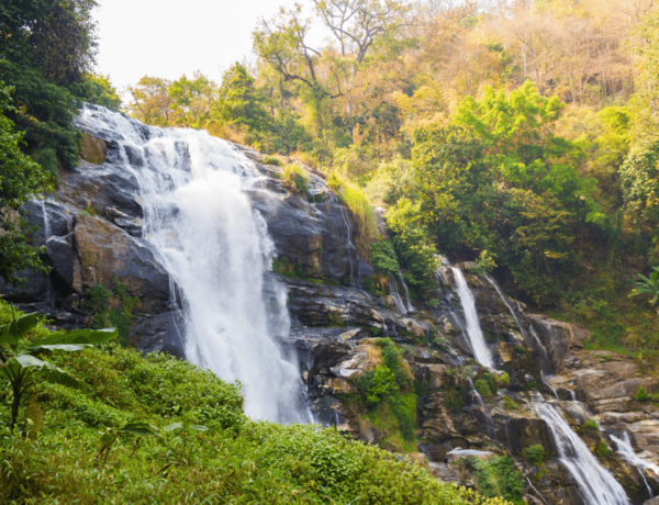 Chiang Mai: Nature Exploration at Doi Inthanon National Park - What to Expect From the Tour