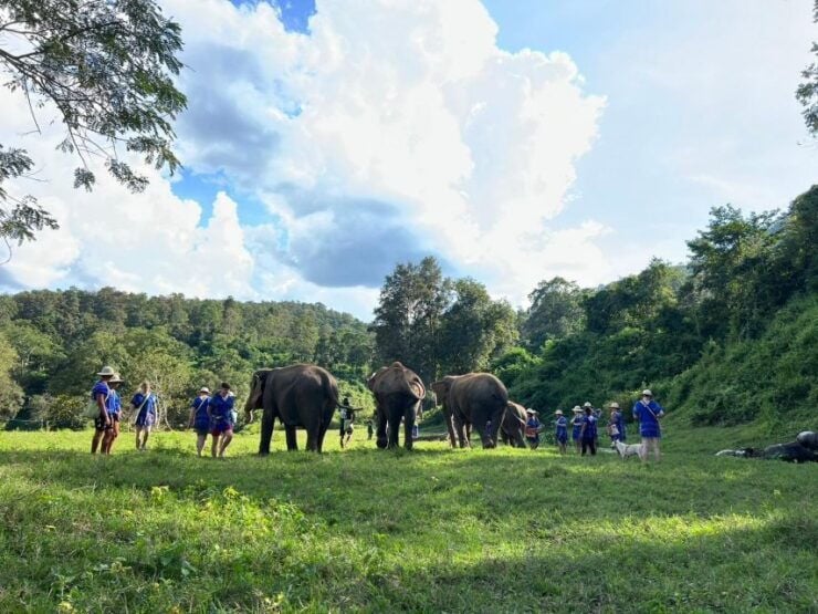 Chiang Mai: New Elephant Home Walking With Giants Tour - Location Details