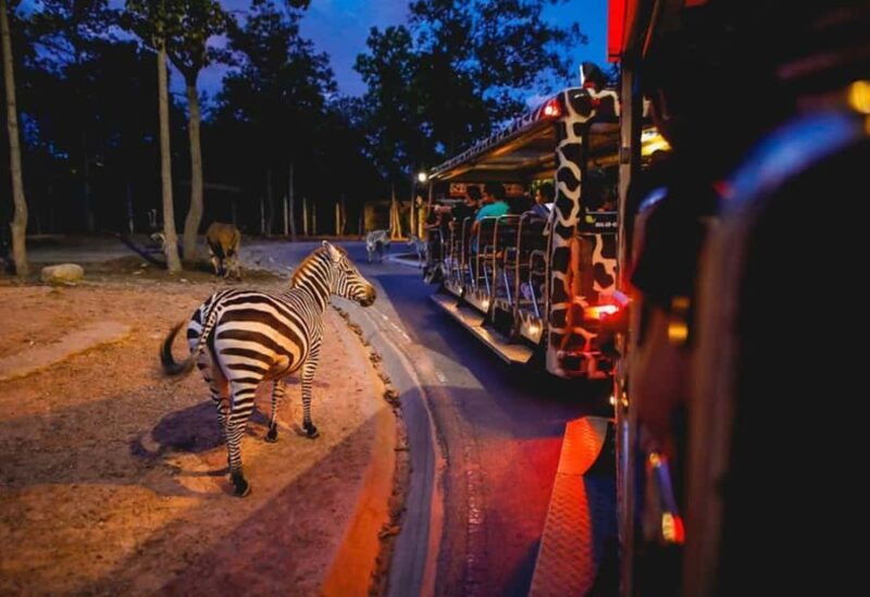 Chiang Mai Night Safari: Flexible Pickup, Ticket & Transfers - Good To Know