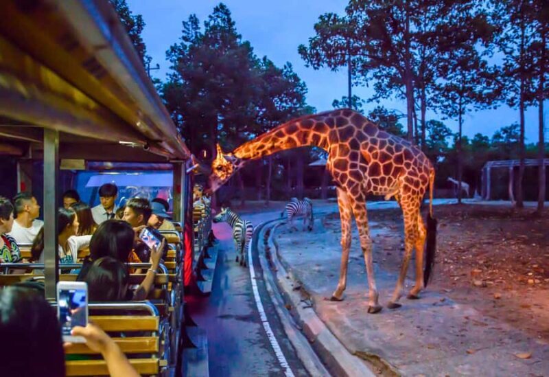 Chiang Mai Night Safari: Flexible Pickup, Ticket & Transfers - Who Should Consider This Tour?