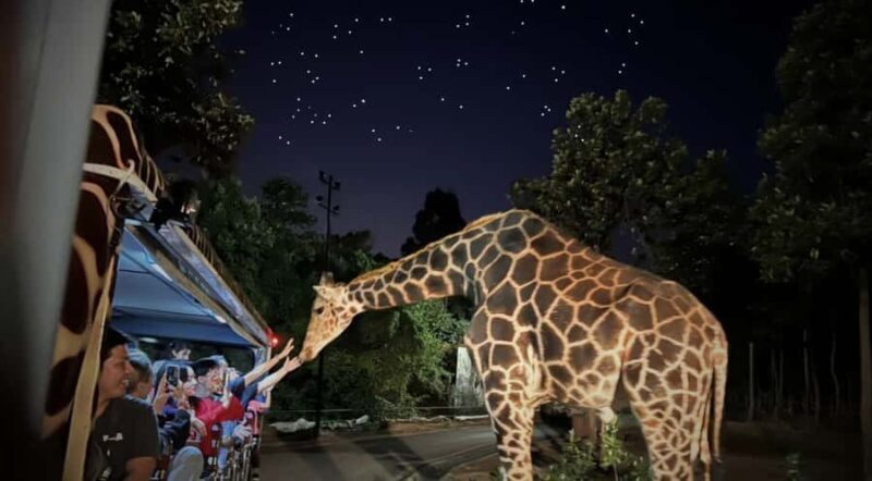 Chiang Mai Night Safari: Flexible Pickup, Ticket & Transfers - Good To Know