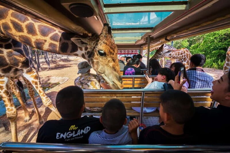 Chiang Mai Night Safari Full Access Ticket & Optional Pickup - Good To Know