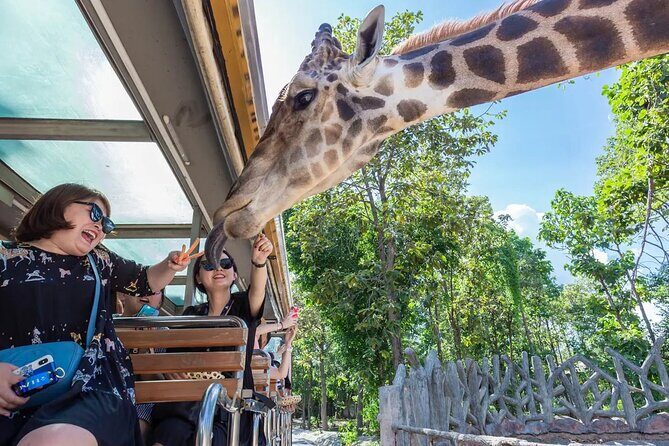 Chiang Mai Night Safari Park Ticket - Good To Know