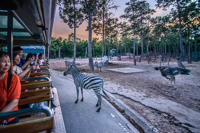 Chiang Mai Night Safari Ticket - The Sum Up