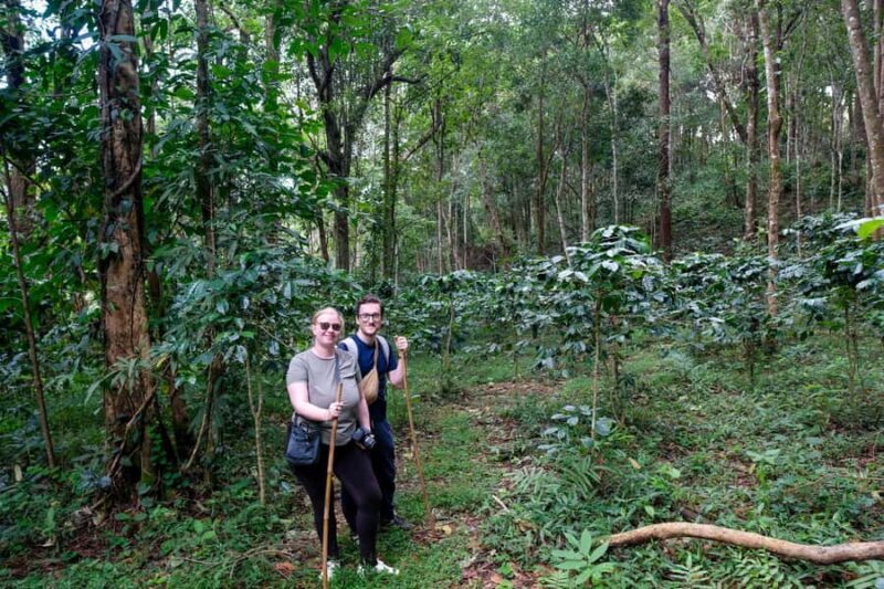 Chiang Mai: Off the Map Jungle Coffee Farm Trek Roast & Brew - The Journey into the Hidden Highlands