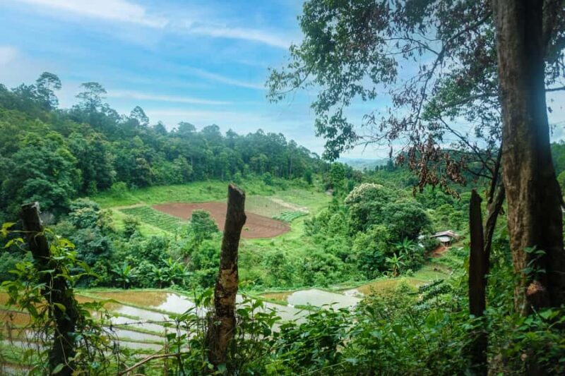 Chiang Mai: Off the Map Jungle Coffee Farm Trek Roast & Brew - Value for Money