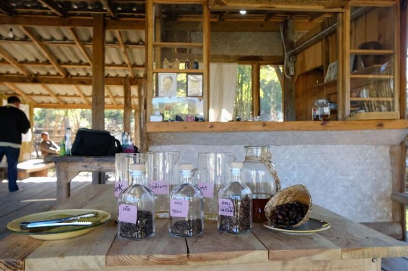 Chiang Mai: Off the Map Jungle Coffee Farm Trek Roast & Brew - The Final Brew: Learn, Taste, and Take Home