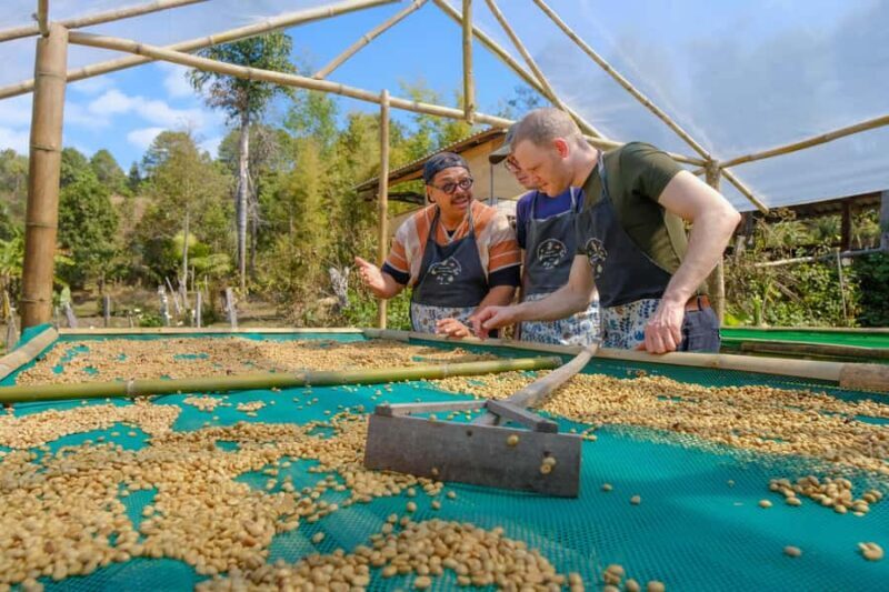 Chiang Mai: Off the Map Jungle Coffee Farm Trek Roast & Brew - Authenticity and Ethical Tourism at Its Best