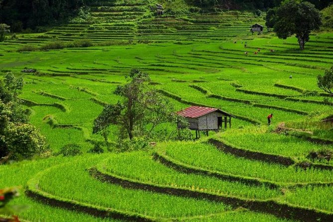 Chiang Mai - One Day Best Of Doi Inthanon National Park - Meeting and Pickup Information