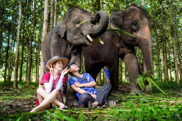 Chiang Mai: One Day Elephant Bamboo Rafting Waterfall - Directions